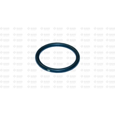 O-RING OILSUMP PLUG 5E3