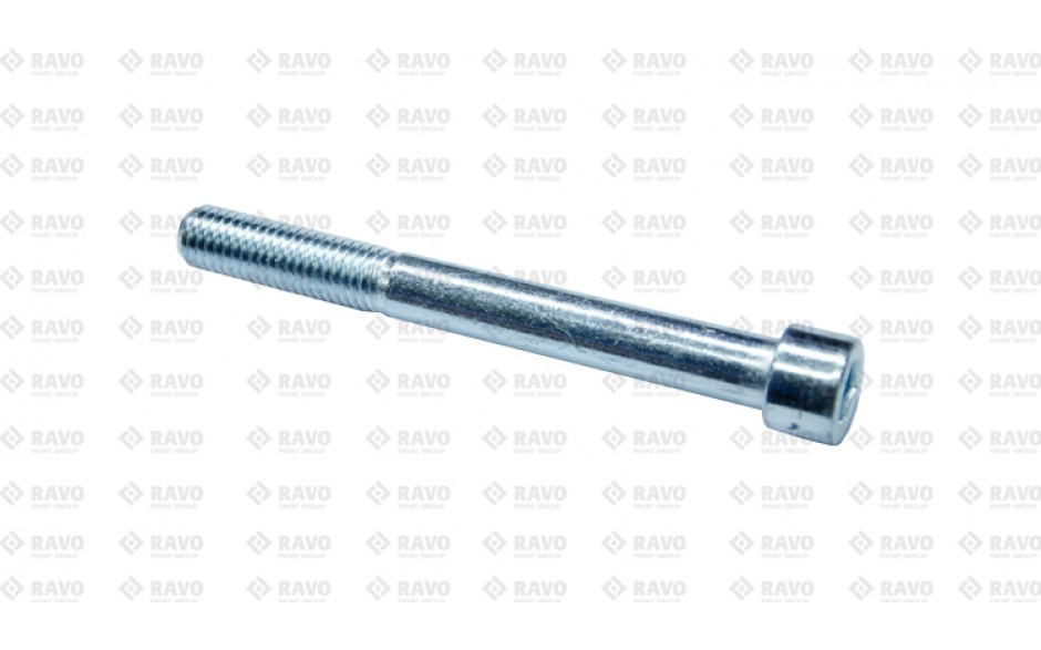 SOCKET HEAD CAP SCREW M12X110