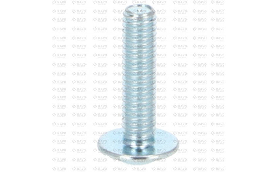 ROUNDHEAD SOCKET FLANGE SCREW M5x20