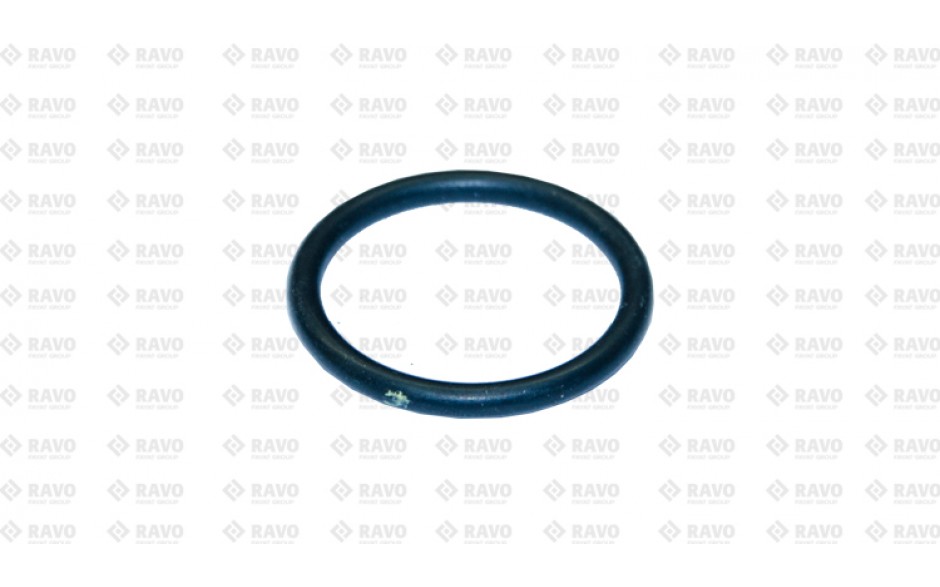 O-RING OILSUMP PLUG 5E3